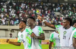 Ilenikhena, Usor strike as Nigeria overturn Madagascar in AFCON qualifier