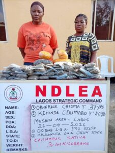 NDLEA