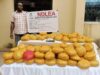 NDLEA intercepts N3.4bn drugs, nabs fake police officer NDLEA