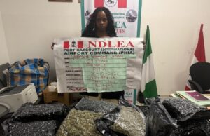 NDLEA nabs South African lady, recovers drugs at Rivers, Lagos airports NDLEA