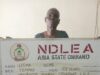 NDLEA re-arrests 83-year-old woman for drug dealing in Abia NDLEA