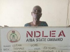 NDLEA re-arrests 83-year-old woman for drug dealing in Abia NDLEA