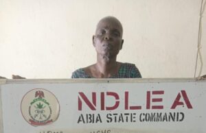 NDLEA re-arrests 83-year-old woman for drug dealing in Abia NDLEA
