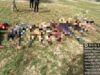 Troops repel ISWAP attack, kill 25 in Borno