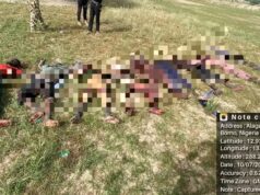Troops repel ISWAP attack, kill 25 in Borno