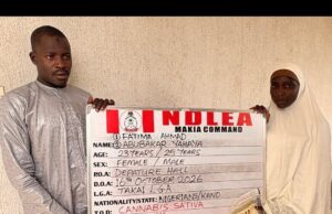 NDLEA intercepts Saudi-bound cannabis hidden in keg at Kano airport