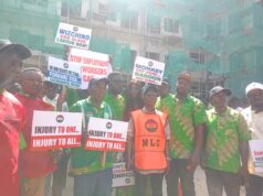 NLC threatens to shut Wizchino over deaths of two workers
