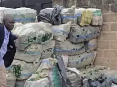 NAFDAC uncovers fake alcohol supply hub in Lagos