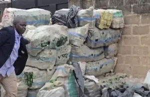 NAFDAC uncovers fake alcohol supply hub in Lagos