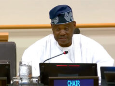 Nigeria pushes global tax reforms, cheaper loans at UN Nigeria