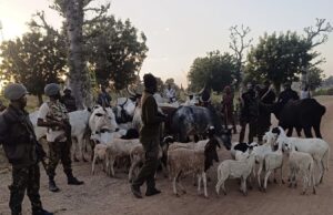 Troops kill 3 terrorists, recover arms, cattle in Kaduna, Kano Troops