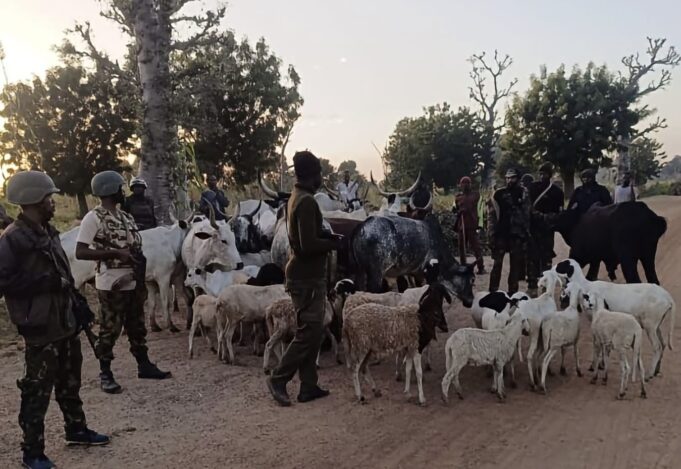 Troops kill 3 terrorists, recover arms, cattle in Kaduna, Kano Troops