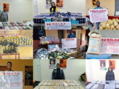 NDLEA intercepts 64,000 opioid pills, seizes tonnes of drugs