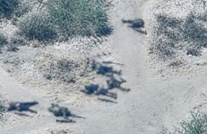 Troops kill 44 terrorists, foil IED attack in Borno Troops
