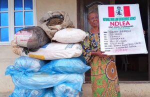 NDLEA arrests 85-year-old woman, seizes tonnes of cannabis