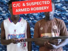 Police arrest two suspects over machete attacks in Bauchi