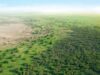 UN commits $78m to revive Africa’s Great Green Wall