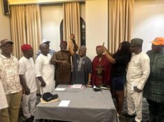 Ohanaeze Ndigbo backs Tinubu’s re-election, Adeola’s Ogun governorship bid